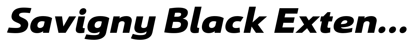 Savigny Black Extended Italic